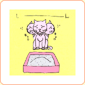 ケース4イメージ