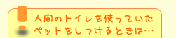 !人間のトイレを使っていたペットをしつけるときは…